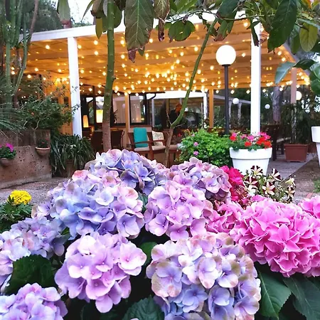 Hotell Giardino 2*